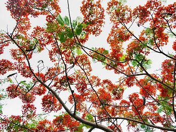 《Apex英雄》官方确认第14赛季将提高玩家等级上限