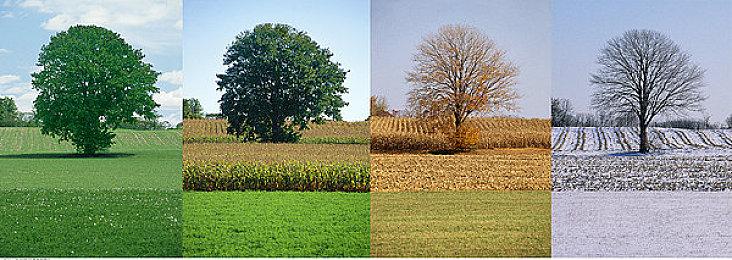 《英雄传说 界之轨迹 -告别塞姆利亚-》决定于 2025 年 1 月 23 日上市！