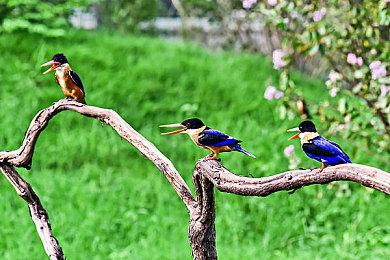 PS5手柄PC应用程序发布 可更新固件和自定义按键配置